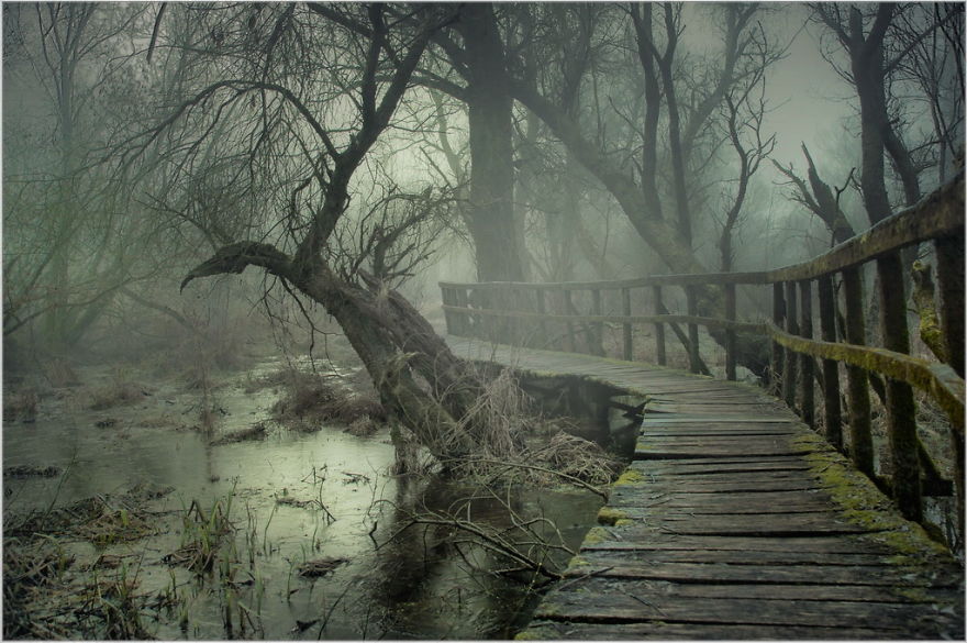 I Found A Chilling Path That Looked Like A Trail To Mordor (20 Pics)