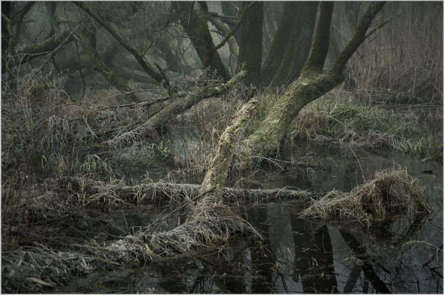 I Found A Chilling Path That Looked Like A Trail To Mordor (20 Pics)