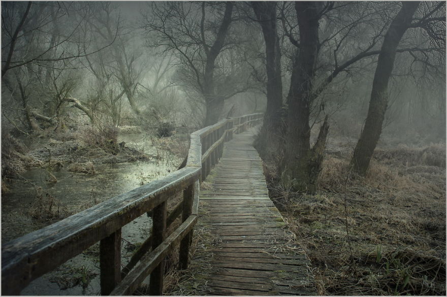 I Found A Chilling Path That Looked Like A Trail To Mordor (20 Pics)