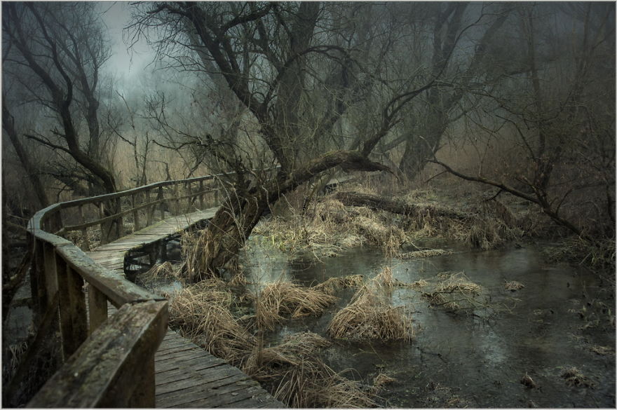 I Found A Chilling Path That Looked Like A Trail To Mordor (20 Pics)