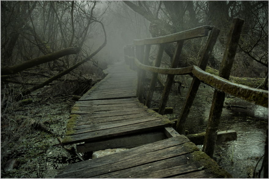 I Found A Chilling Path That Looked Like A Trail To Mordor (20 Pics)