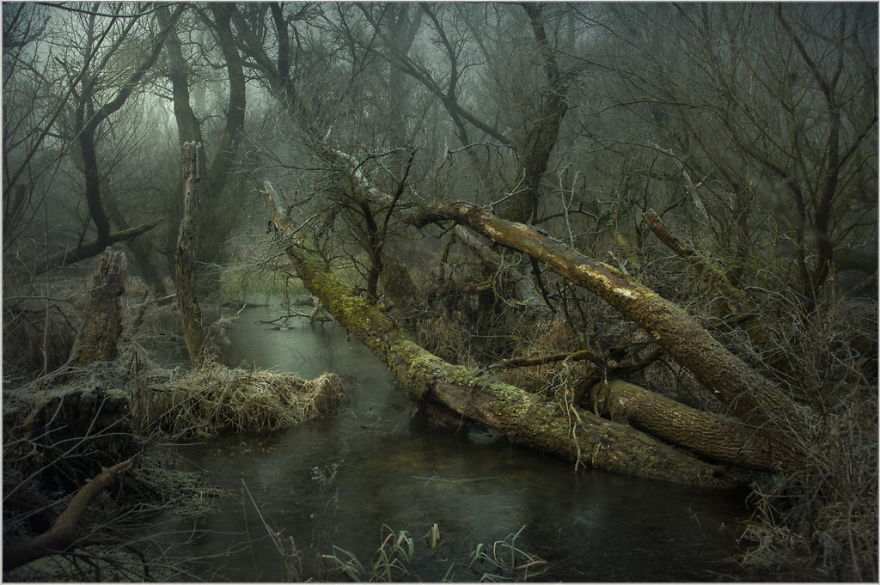 I Found A Chilling Path That Looked Like A Trail To Mordor (20 Pics)