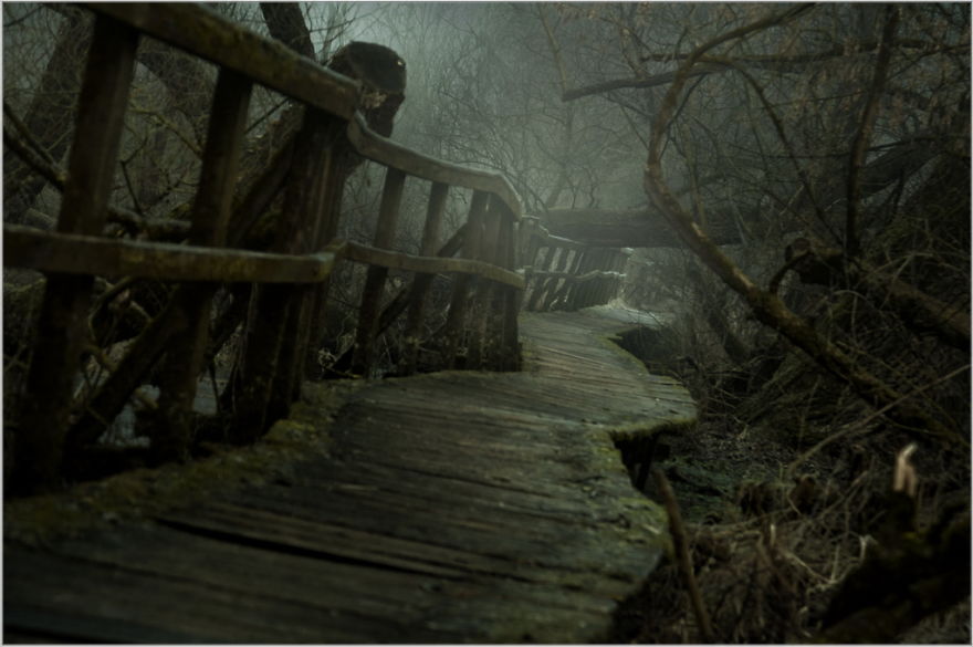 I Found A Chilling Path That Looked Like A Trail To Mordor (20 Pics)