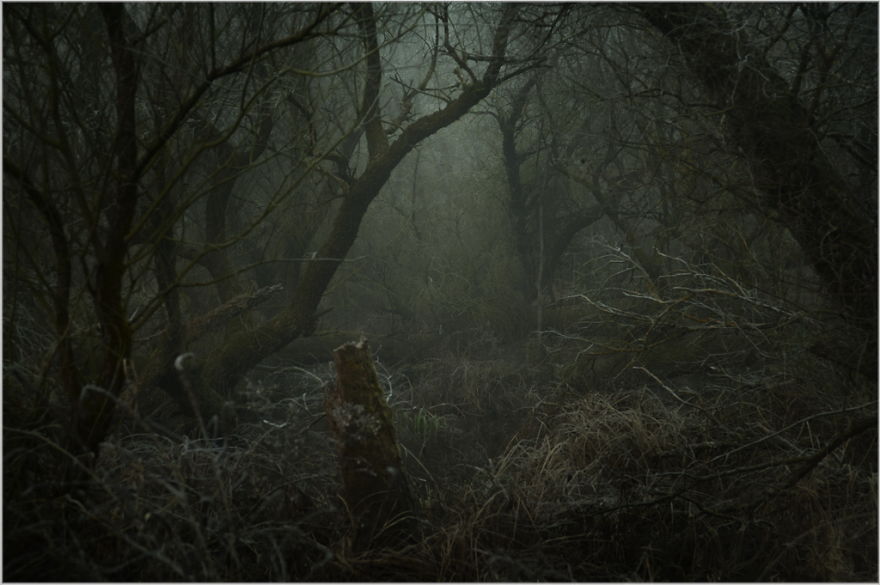 I Found A Chilling Path That Looked Like A Trail To Mordor (20 Pics)