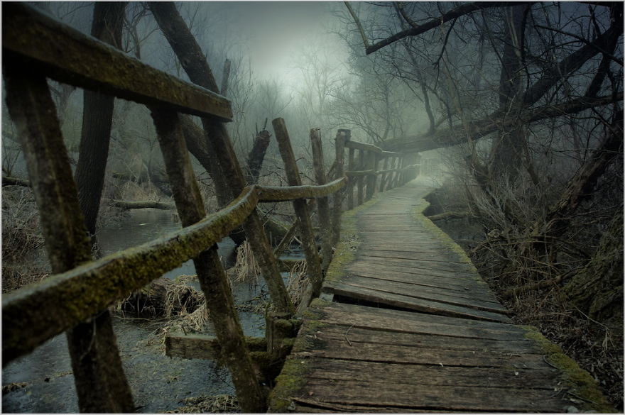 I Found A Chilling Path That Looked Like A Trail To Mordor (20 Pics)
