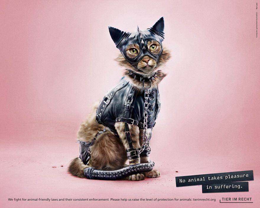 A Powerful Anti-Cruelty Campaign Uses Shocking Images To Show That No Animal Gets Pleasure From Suffering A Powerful Anti-Cruelty Campaign Uses Shocking Images To Show That No Animal Gets Pleasure From Suffering