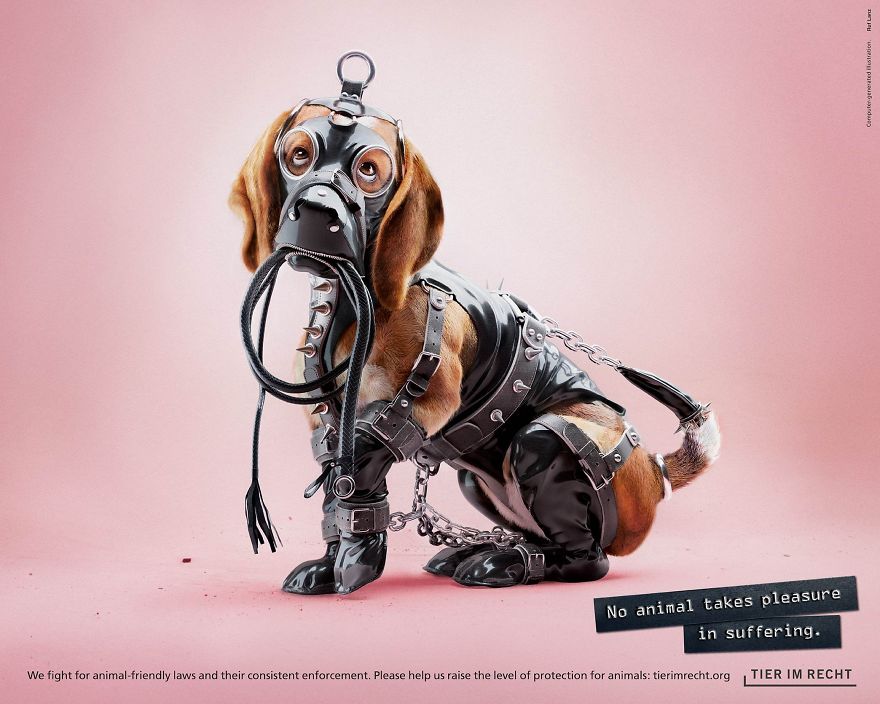 A Powerful Anti-Cruelty Campaign Uses Shocking Images To Show That No Animal Gets Pleasure From Suffering A Powerful Anti-Cruelty Campaign Uses Shocking Images To Show That No Animal Gets Pleasure From Suffering