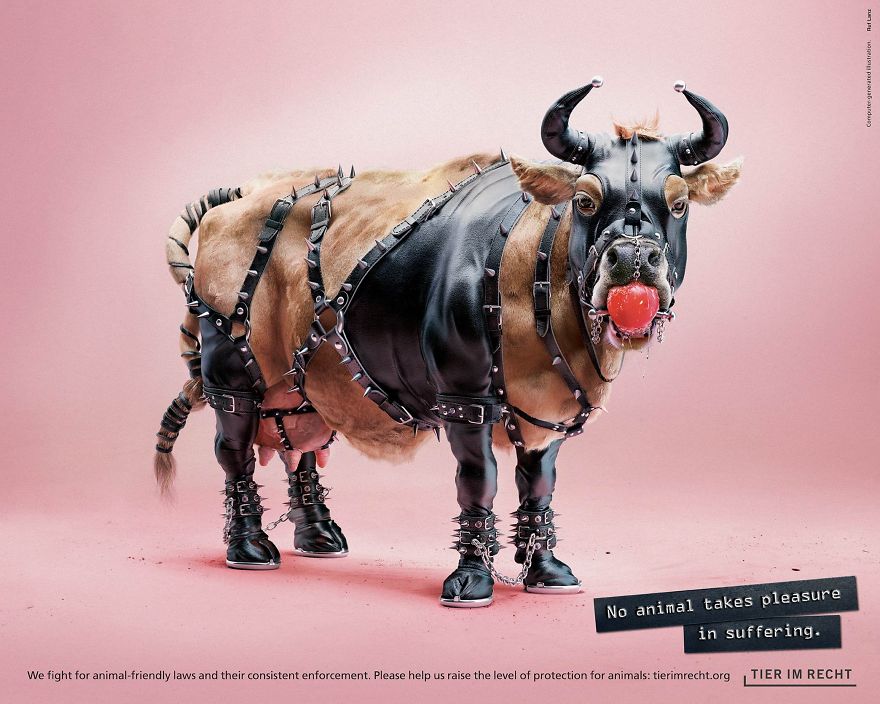 A Powerful Anti-Cruelty Campaign Uses Shocking Images To Show That No Animal Gets Pleasure From Suffering A Powerful Anti-Cruelty Campaign Uses Shocking Images To Show That No Animal Gets Pleasure From Suffering