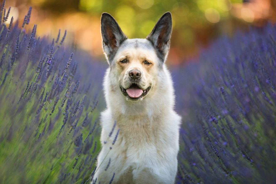 The Photoshop Adventures Of Huck