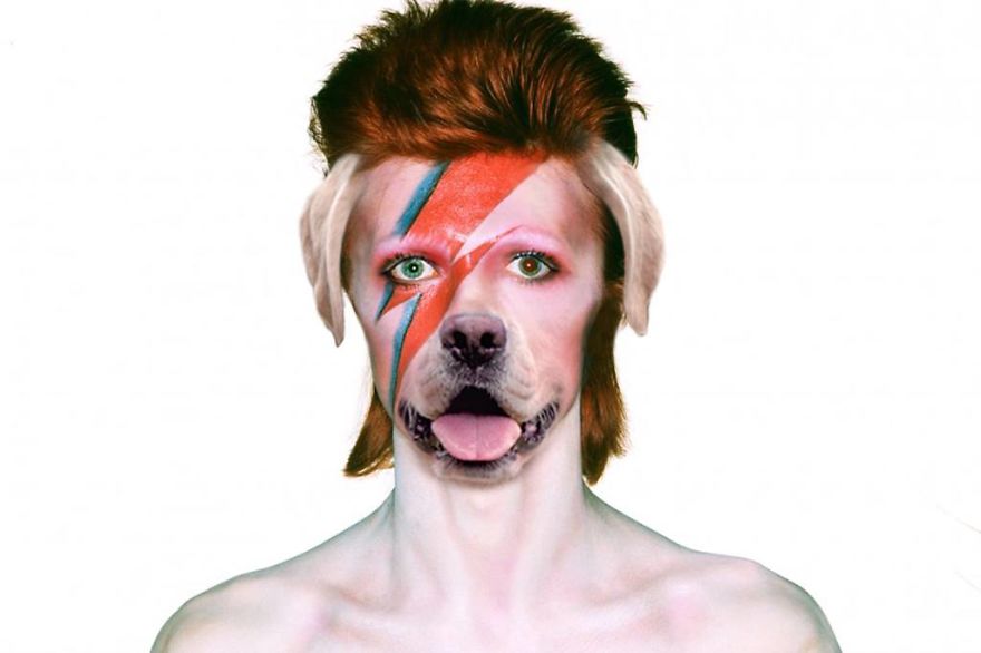 The Photoshop Adventures Of Huck