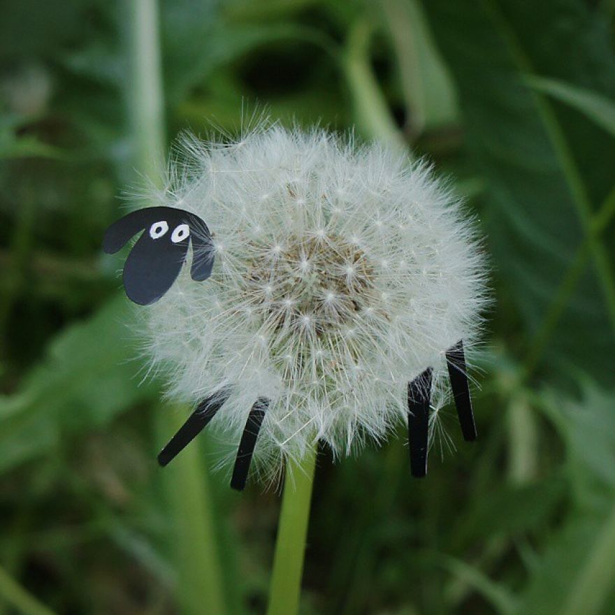 Russian Artist Transforms Everyday Objects Into "Something Else"