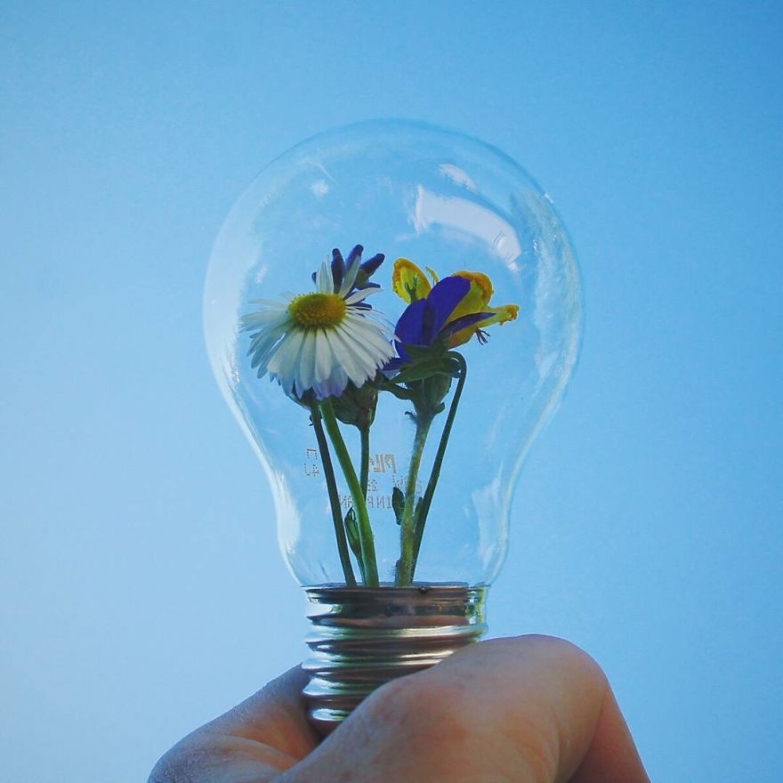 Russian Artist Transforms Everyday Objects Into "Something Else"