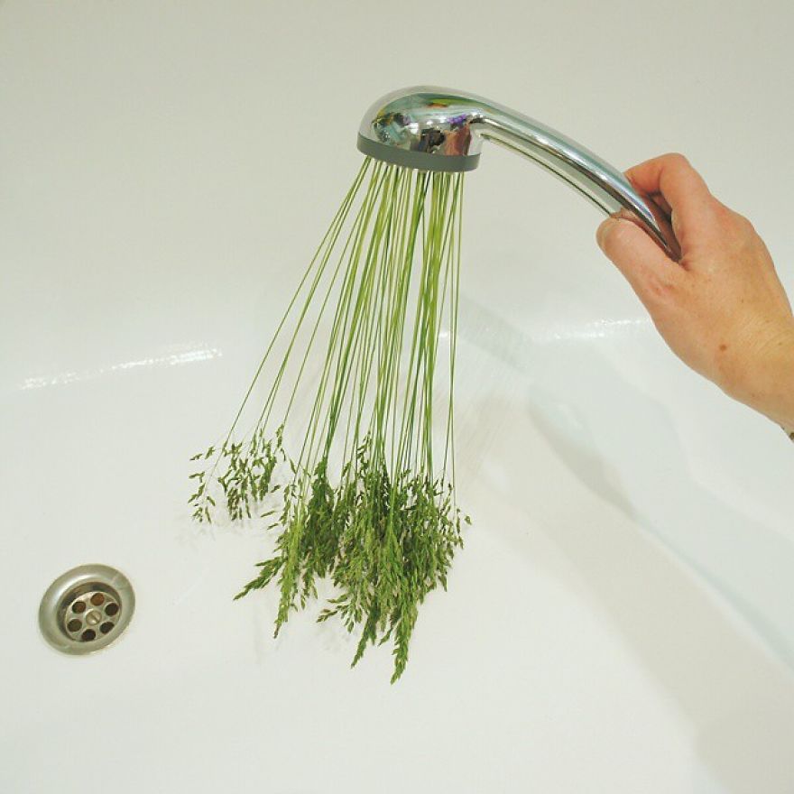 Russian Artist Transforms Everyday Objects Into "Something Else"