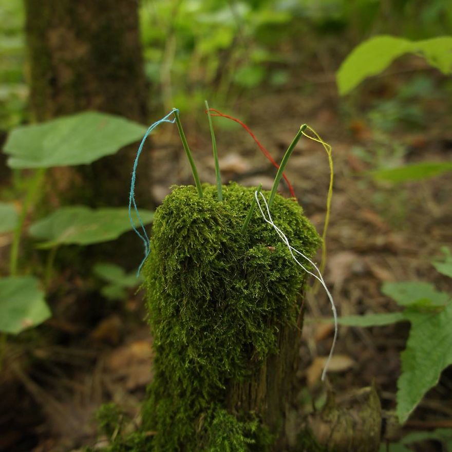 Russian Artist Transforms Everyday Objects Into "Something Else"