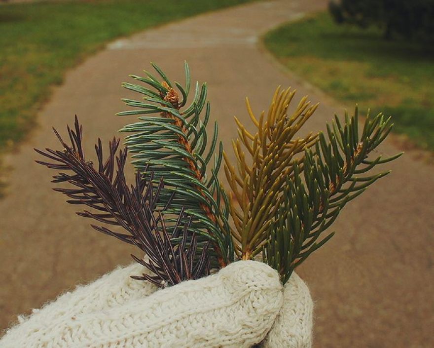 Russian Artist Transforms Everyday Objects Into "Something Else"