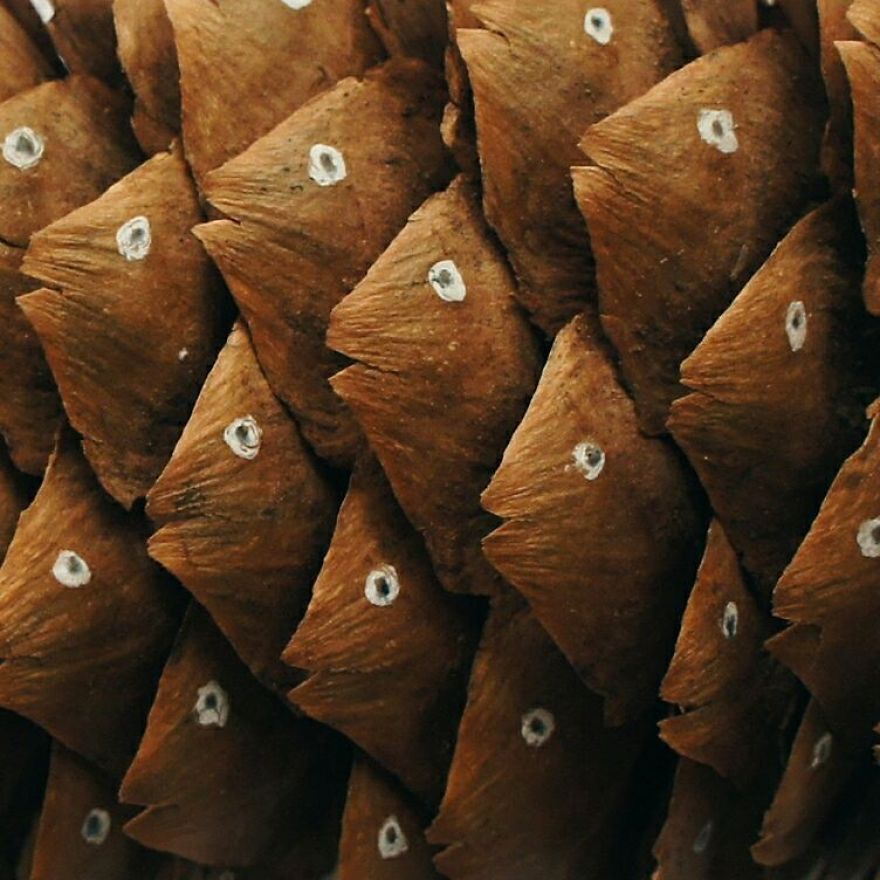 Russian Artist Transforms Everyday Objects Into "Something Else"