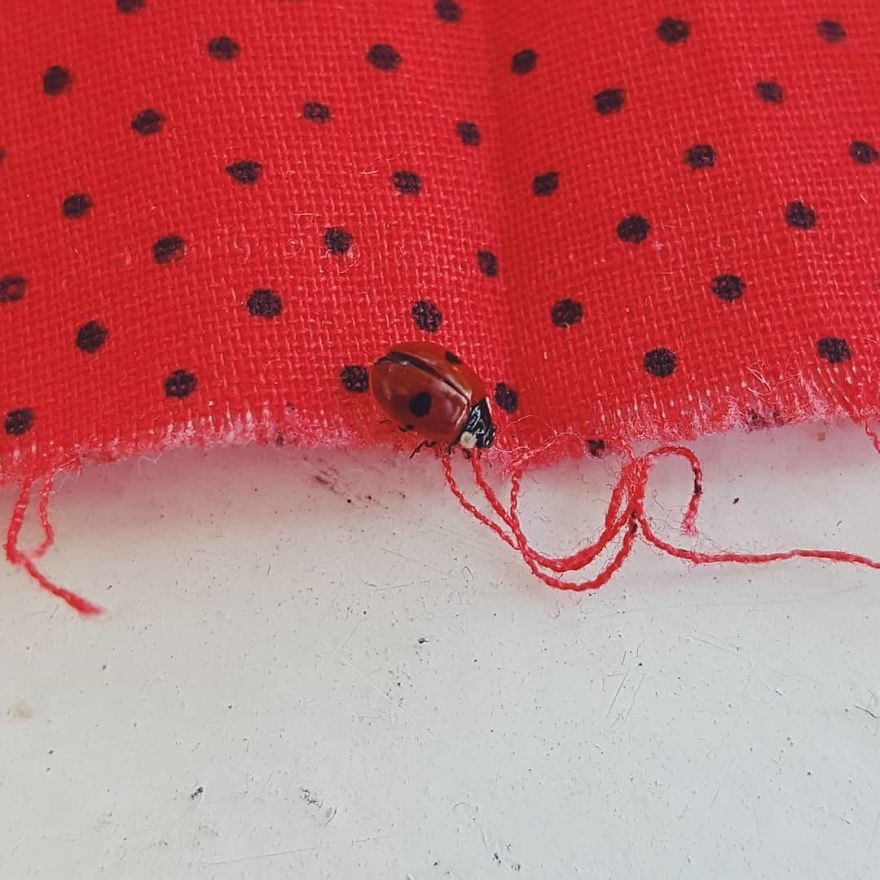 Russian Artist Transforms Everyday Objects Into "Something Else"