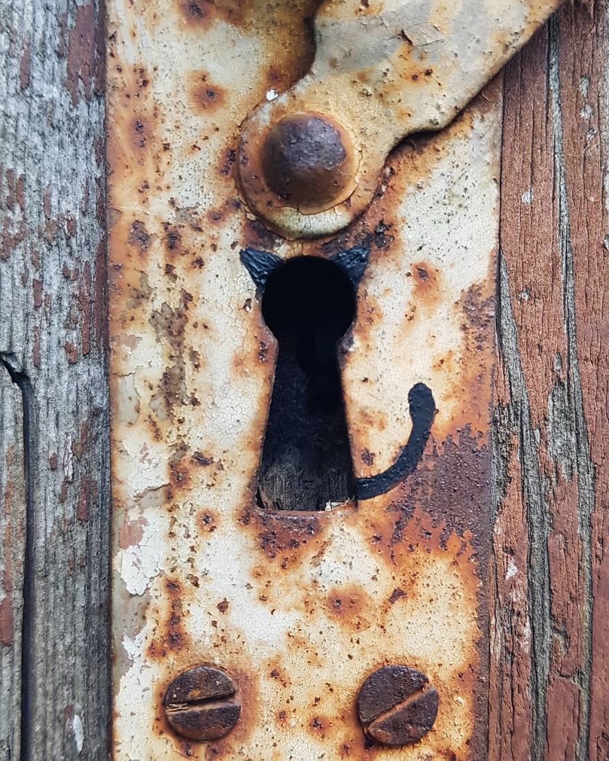 Russian Artist Transforms Everyday Objects Into "Something Else"