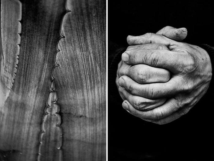 Visual Exercises - A Series Of Diptychs