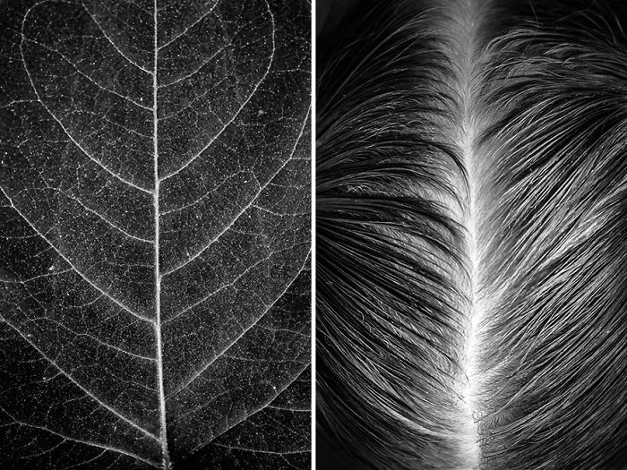 Visual Exercises - A Series Of Diptychs