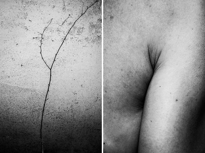 Visual Exercises - A Series Of Diptychs