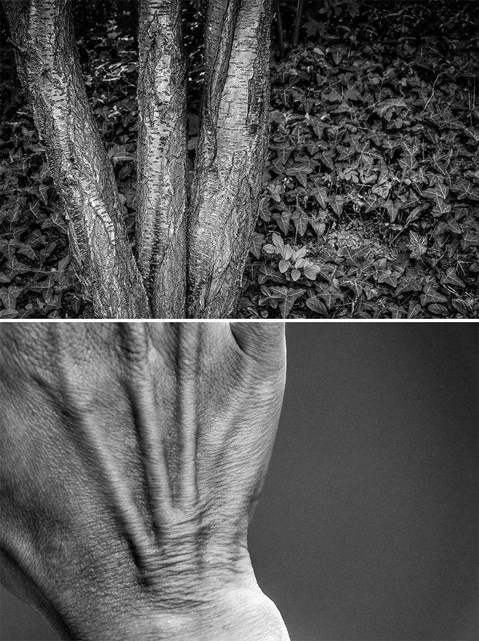 Visual Exercises - A Series Of Diptychs