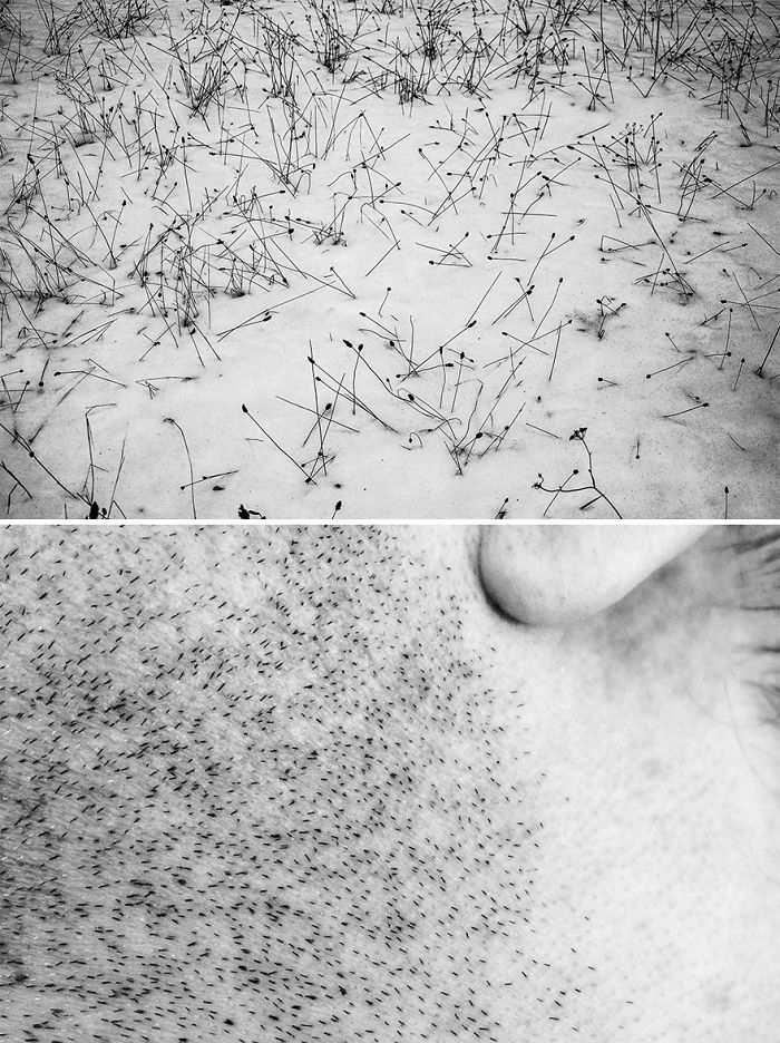 Visual Exercises - A Series Of Diptychs