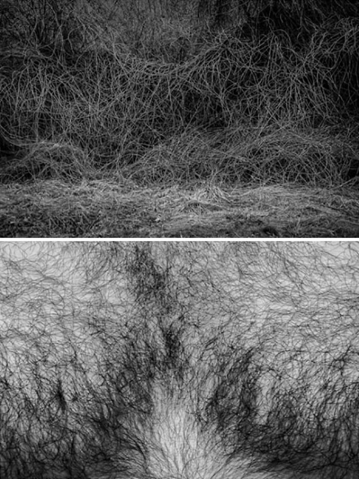 Visual Exercises - A Series Of Diptychs