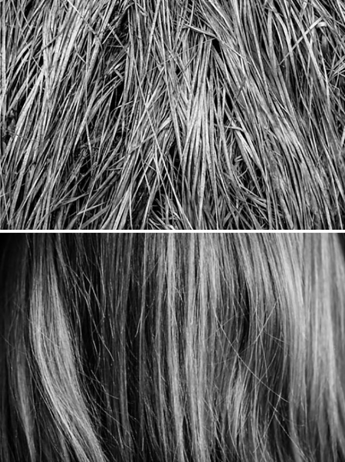 Visual Exercises - A Series Of Diptychs