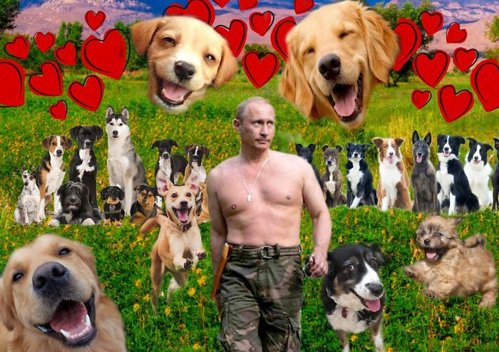 We Made A Song About Putin’s Love For Puppies