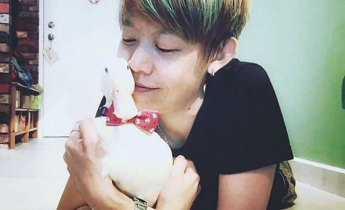 Woman Buys A Balut Egg In A Restaurant And Hatches The Duckling That&rsquo;s Now Her Best Friend