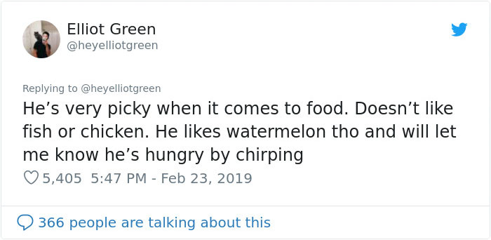 Meet Merlin, The Water-Bottle-Sized 2-Year-Old Kitty That Is Taking Over Twitter Because Of His Pure Beauty Meet Merlin, The Water-Bottle-Sized 2-Year-Old Kitty That Is Taking Over Twitter Because Of His Pure Beauty