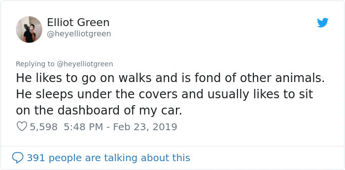 Meet Merlin, The Water-Bottle-Sized 2-Year-Old Kitty That Is Taking Over Twitter Because Of His Pure Beauty