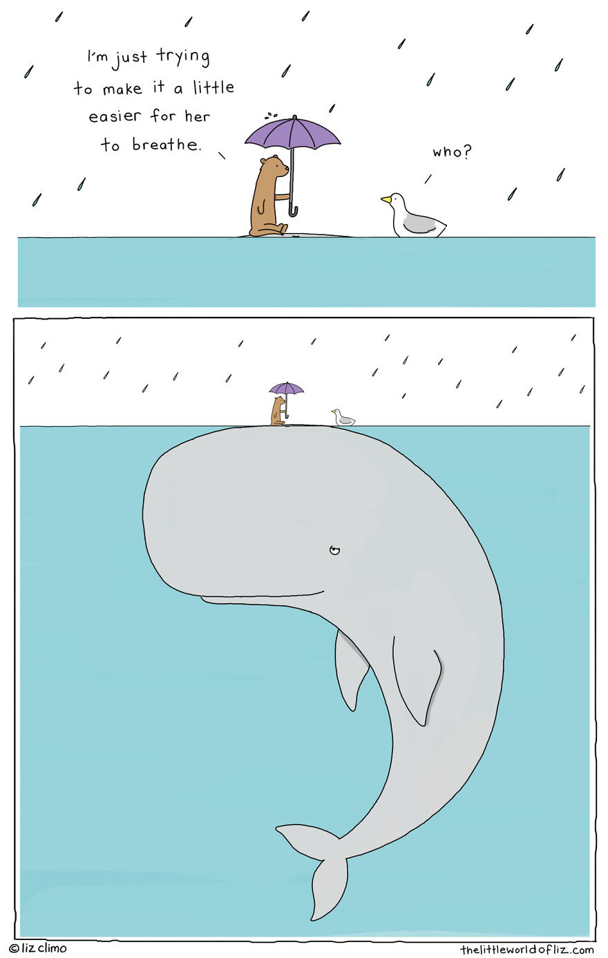 Liz Climo Comics