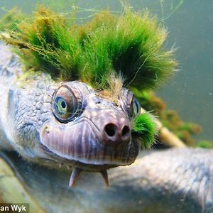 ebony1k124touch avatar