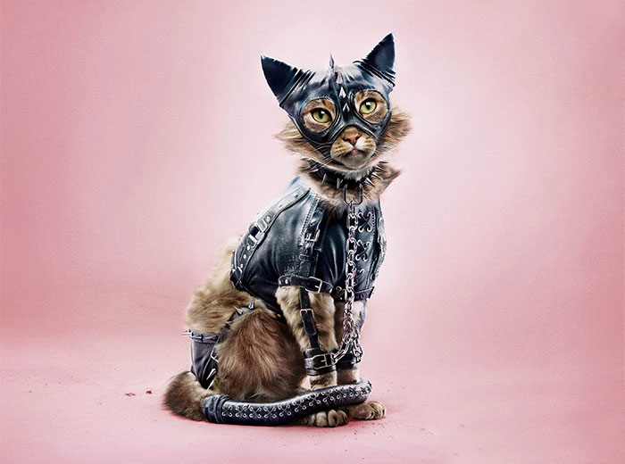 A Powerful Anti-Cruelty Campaign Uses Shocking Images To Show That No Animal Gets Pleasure From Suffering