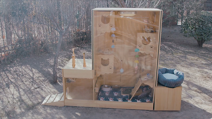 Computer Engineer Created An AI Shelter That Takes Care Of 174 Cats, And Even Has A Facial Recognition System Computer Engineer Created An AI Shelter That Takes Care Of 174 Cats, And Even Has A Facial Recognition System