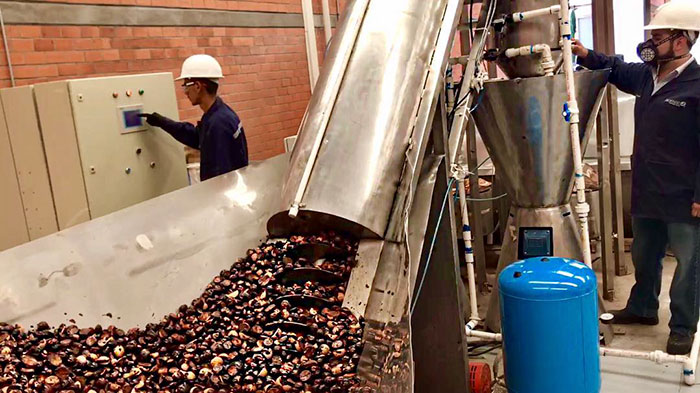 Mexican Company Finds A Genius Way To Use Avocado Seeds To Create Biodegradable Single-Use Cutlery Mexican Company Finds A Genius Way To Use Avocado Seeds To Create Biodegradable Single-Use Cutlery