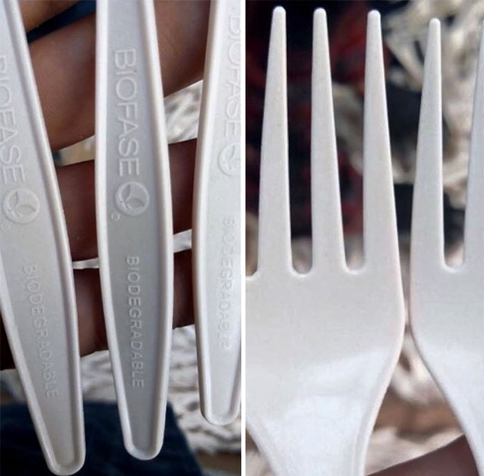 Mexican Company Finds A Genius Way To Use Avocado Seeds To Create Biodegradable Single-Use Cutlery Mexican Company Finds A Genius Way To Use Avocado Seeds To Create Biodegradable Single-Use Cutlery