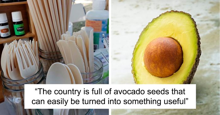 Mexican Company Finds A Genius Way To Use Avocado Seeds To Create Biodegradable Single-Use Cutlery
