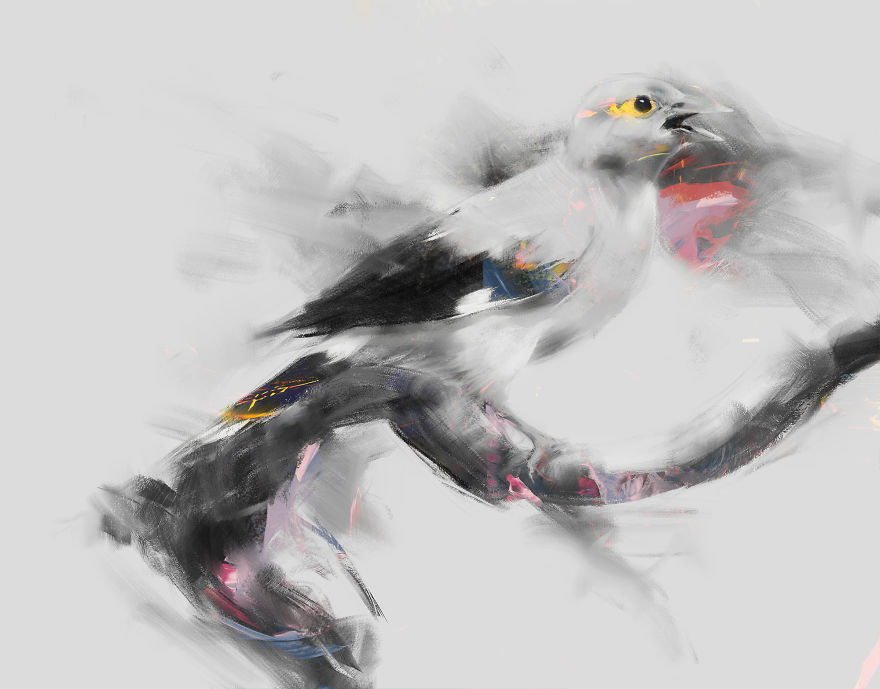 Black Winged Starling