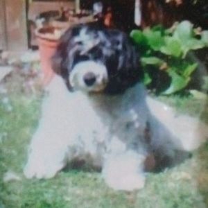 louisemethley avatar