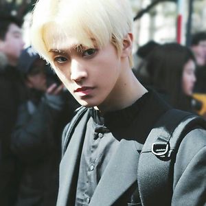 elenabianca1220 avatar