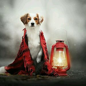 priyankasivanesan avatar