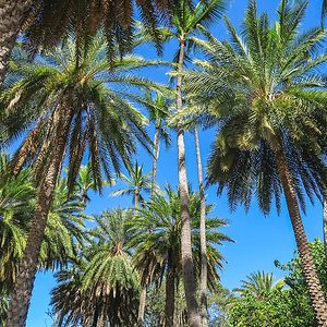 gabi5246lifehacks avatar