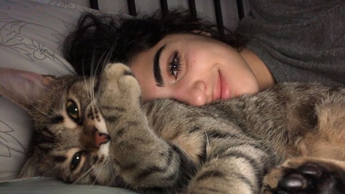 Cat Removes Wooden Bar To Let Her Owner Back Inside After She Locks Herself Out