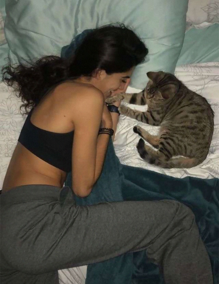 Cat Removes Wooden Bar To Let Her Owner Back Inside After She Locks Herself Out