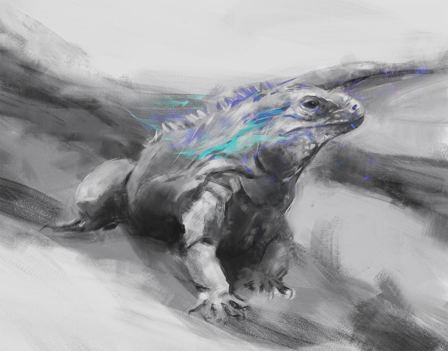 Cayman Island Blue Iguana