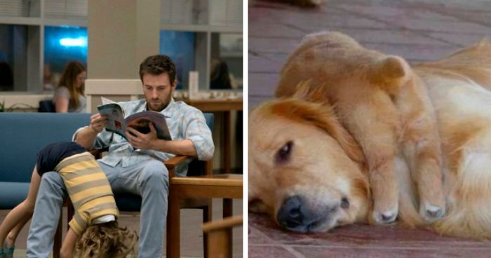 This Twitter Account Is On A Mission To Prove That Chris Evans Is A Golden Retriever, And Already Has 55K Supporters