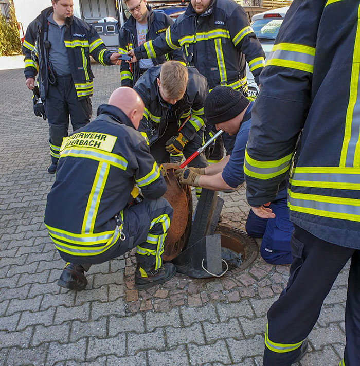 People Are Laughing At A Fat Rat That Got Stuck In Sewer Grate And Needed Fire Brigade To Save Her People Are Laughing At A Fat Rat That Got Stuck In Sewer Grate And Needed Fire Brigade To Save Her